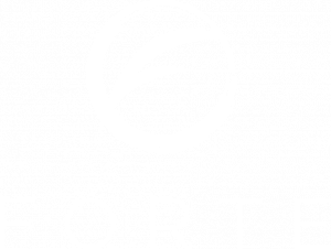Forte logo white